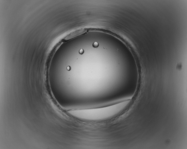 X0000116831077200912181428