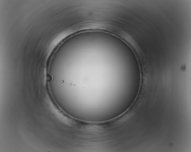 X0000116831079200912181428