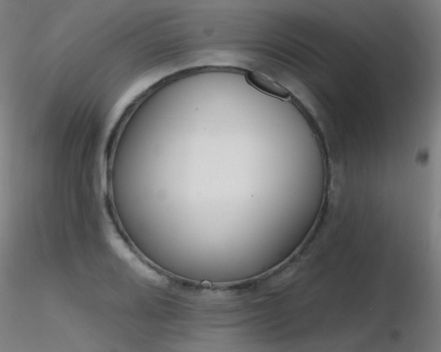X0000116831080200912181428