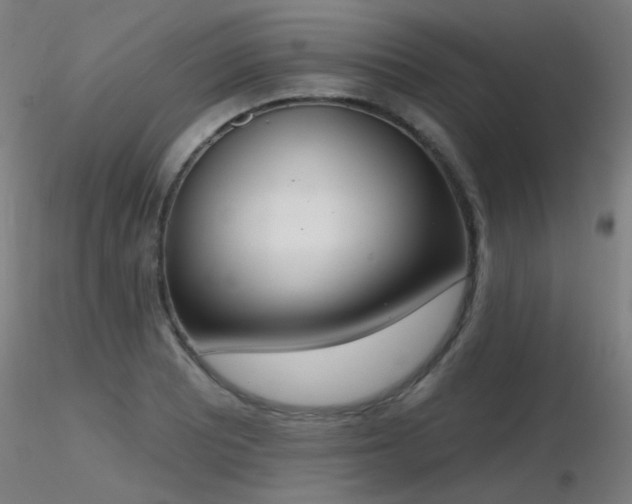 X0000116831081200912181428