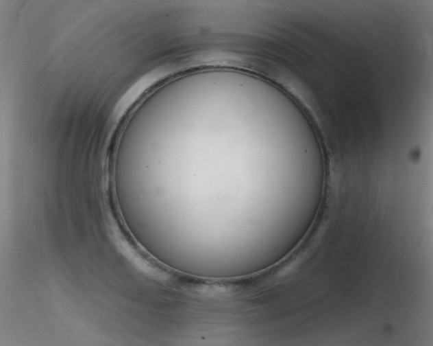 X0000116831082200912181428