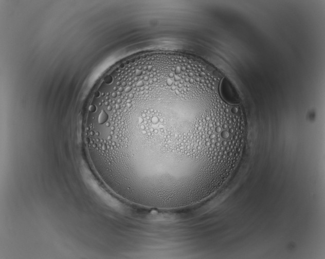 X0000116831083200912181428