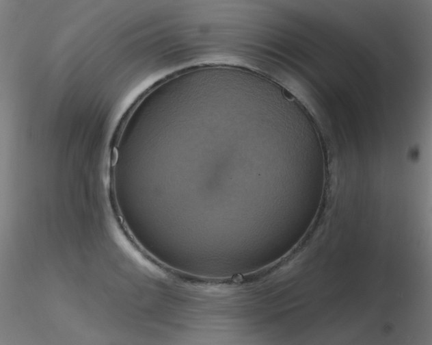 X0000116831084200912181428