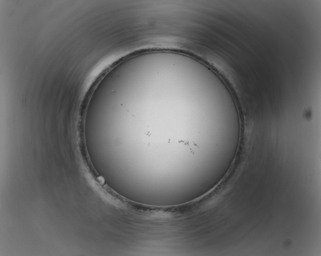 X0000116831085200912181428