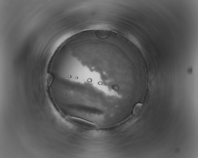 X0000116831087200912181428