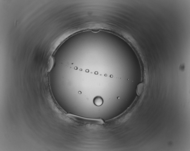X0000116831089200912181428