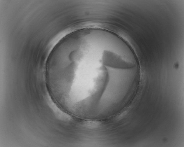 X0000116831090200912181428