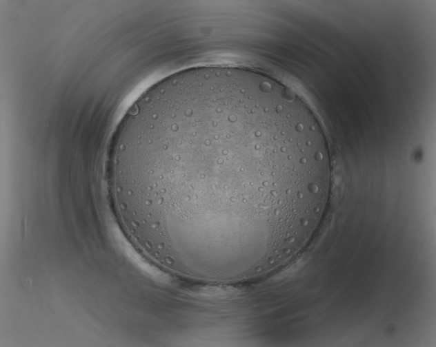 X0000116831091200912181428