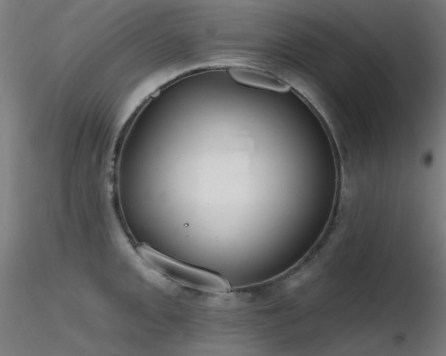 X0000116831093200912181428