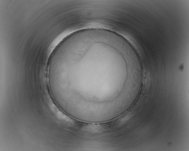 X0000116831094200912181428
