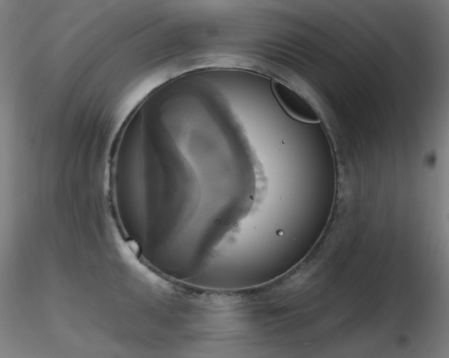 X0000116831095200912181428