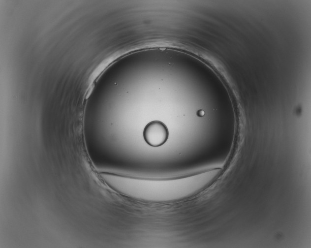 X0000116831097200912181428
