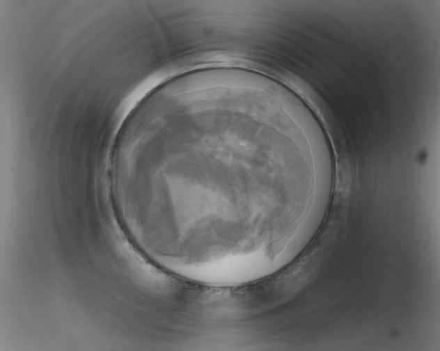 X0000116831098200912181428