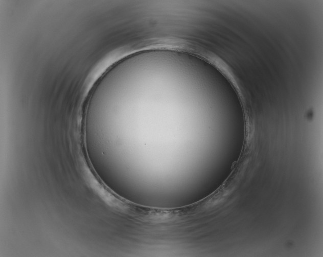 X0000116831099200912181428