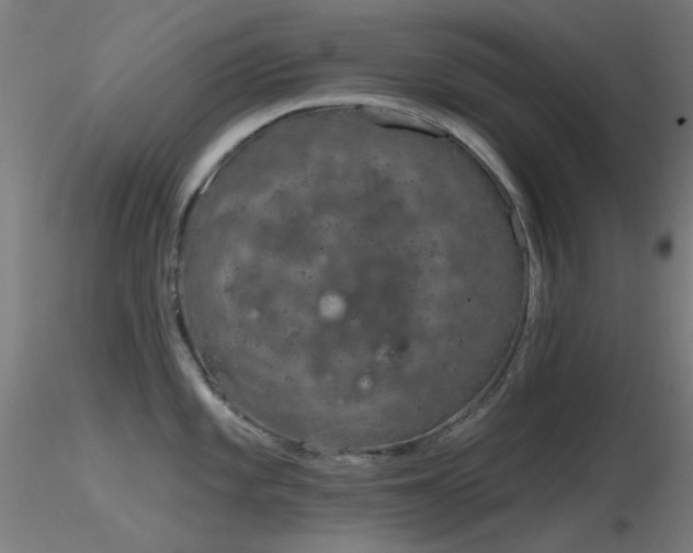 X0000116831101200912181428