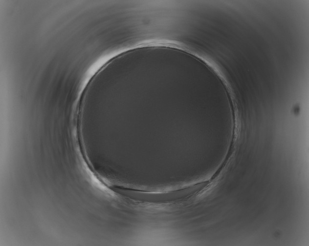 X0000116831102200912181428