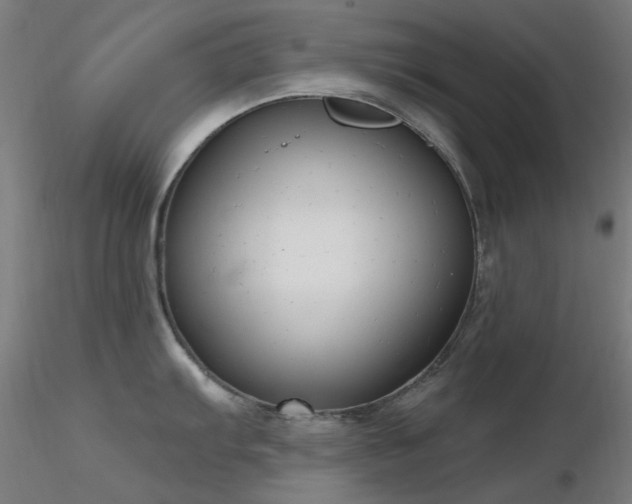 X0000116831103200912181428