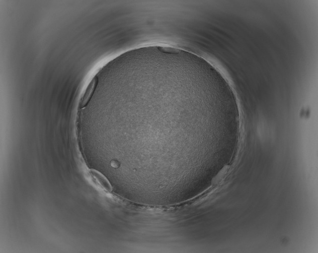 X0000116831104200912181428
