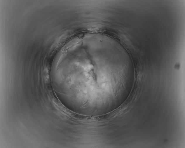 X0000116831106200912181427
