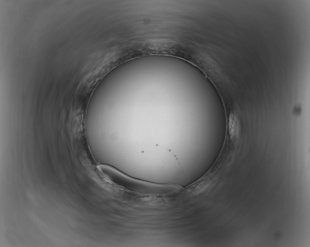 X0000116831107200912181427