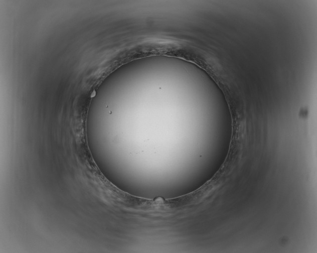X0000116831109200912181427