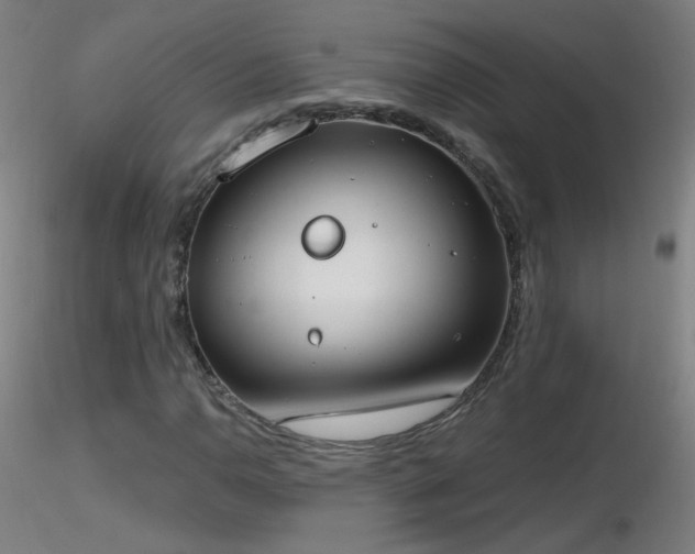 X0000116831110200912181427