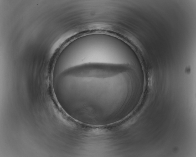 X0000116831117200912181427