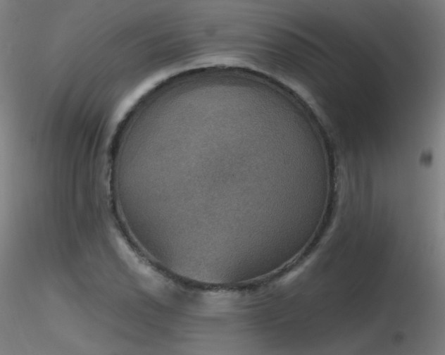 X0000116831118200912181428