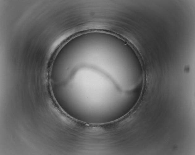X0000116831119200912181428