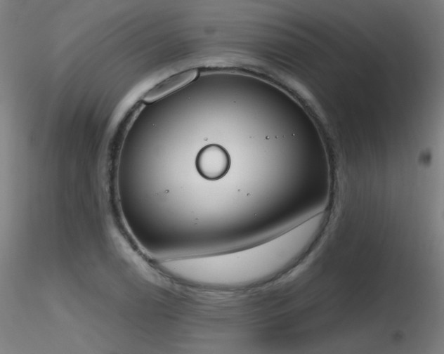 X0000116831122200912181428