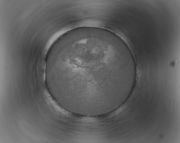 X0000116831123200912181428