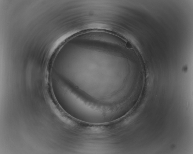 X0000116831125200912181428
