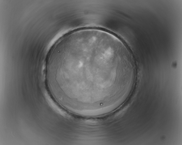 X0000116831126200912181428