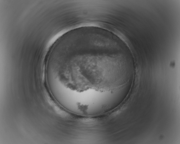 X0000116831127200912181428