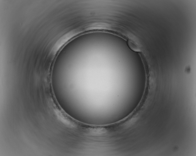 X0000116831129200912181428