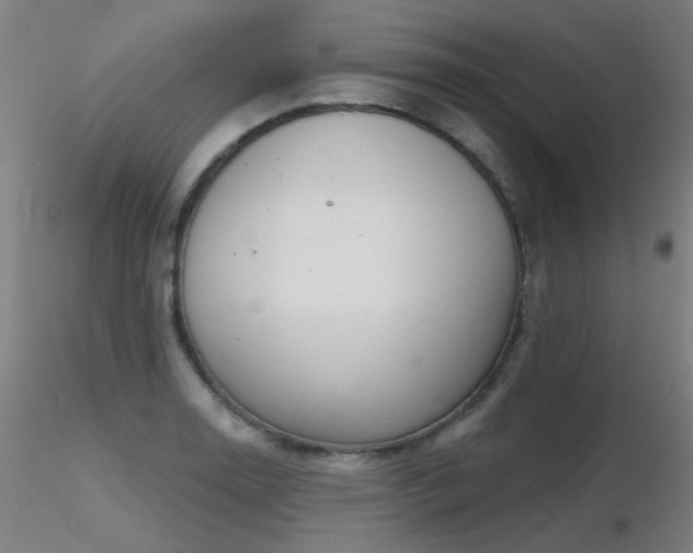 X0000116831130200912181428