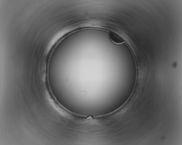 X0000116831131200912181428