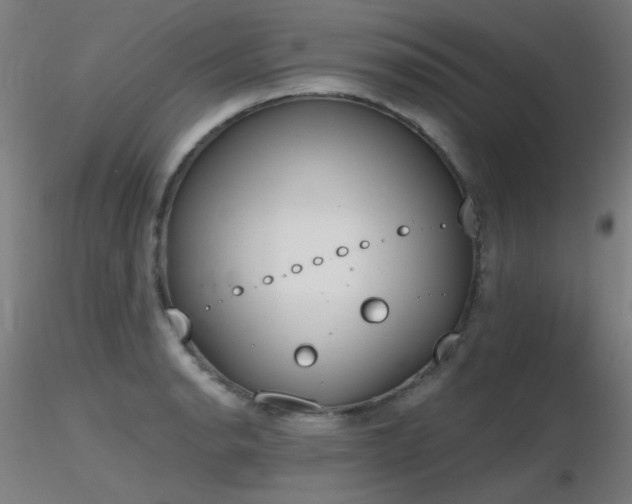 X0000116831134200912181428