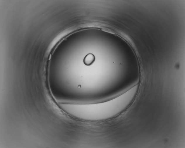 X0000116831138200912181428