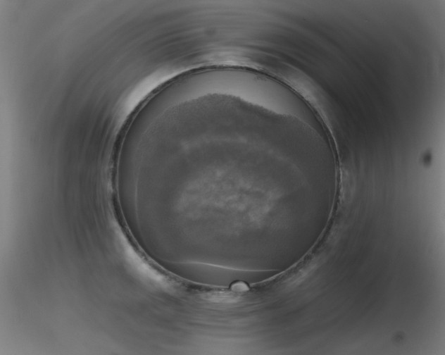 X0000116831141200912181428