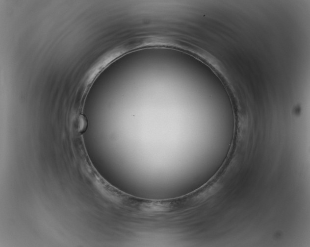 X0000116831145200912181428