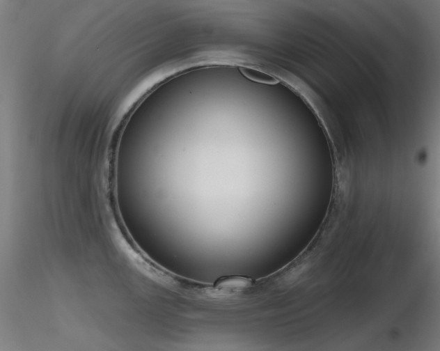 X0000116831147200912181428