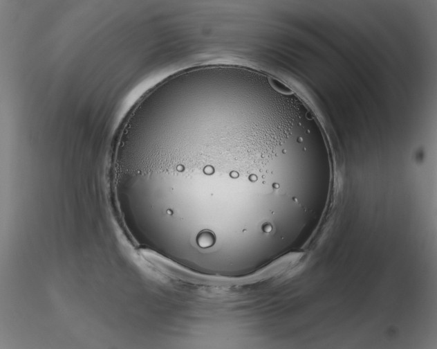 X0000116831149200912181428