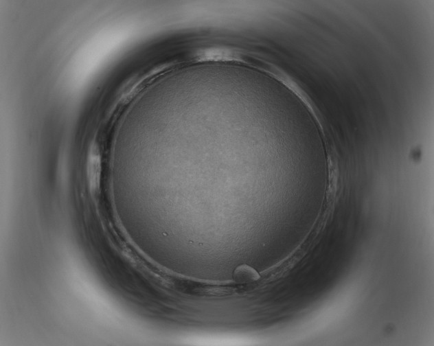 X0000116831151200912181428