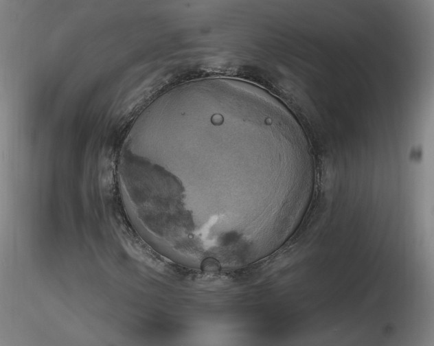 X0000116831154200912181427