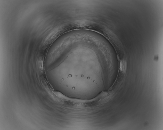 X0000116831155200912181427