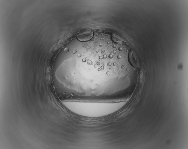 X0000116831156200912181427