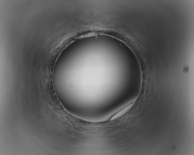 X0000116831157200912181427