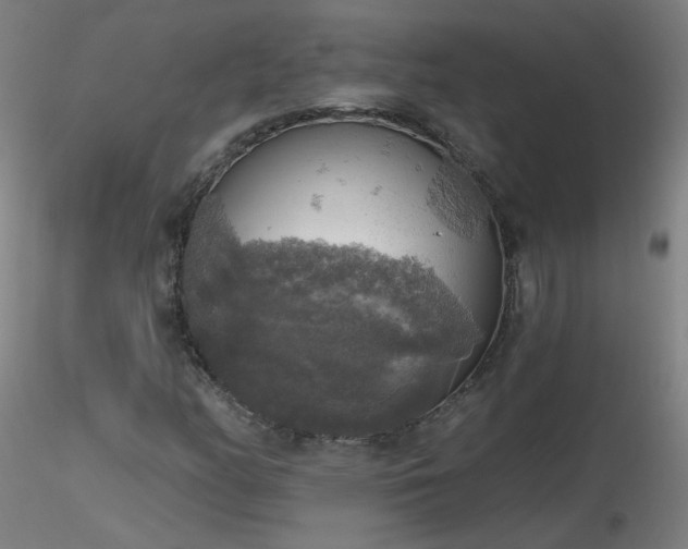 X0000116831158200912181427