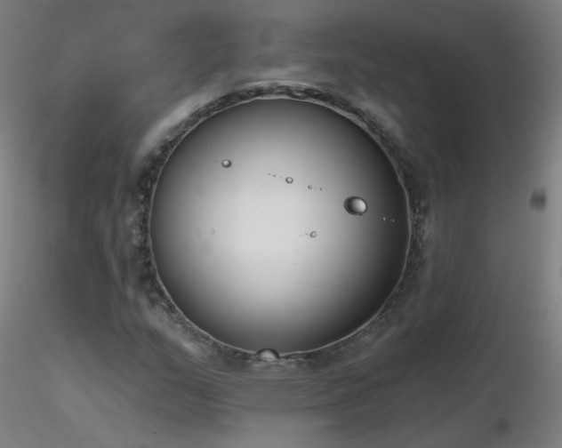X0000116831159200912181427